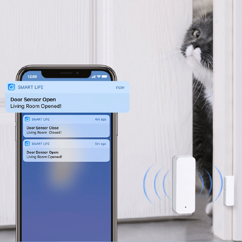 Tuya WiFi Zigbee Door Window S - đánh giá và giá Smart Home Tablet