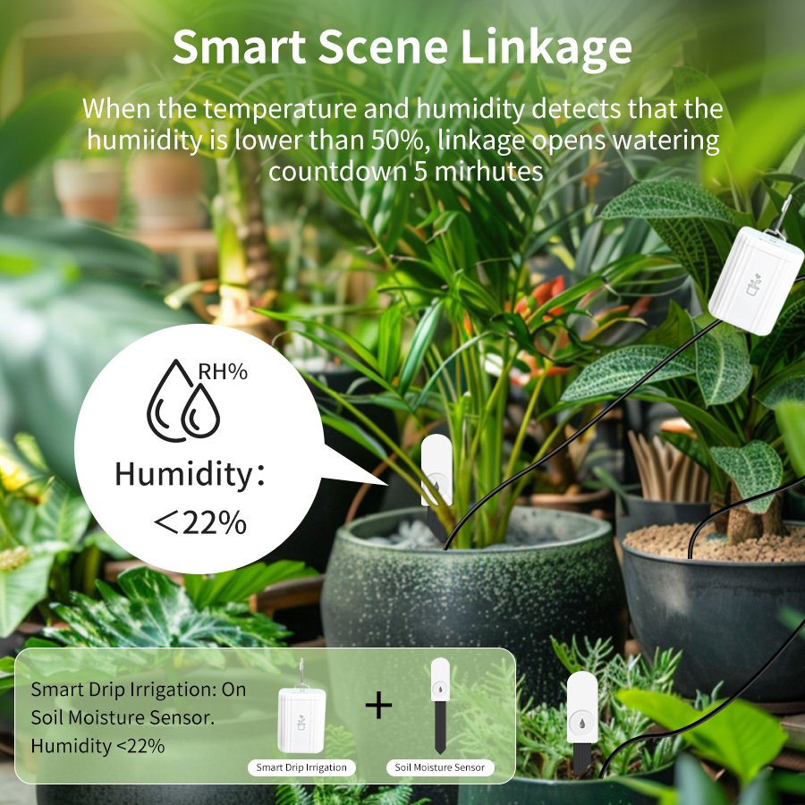 Smart Zigbee 3.0 Soil Tester H - đánh giá và giá Smart Home Features